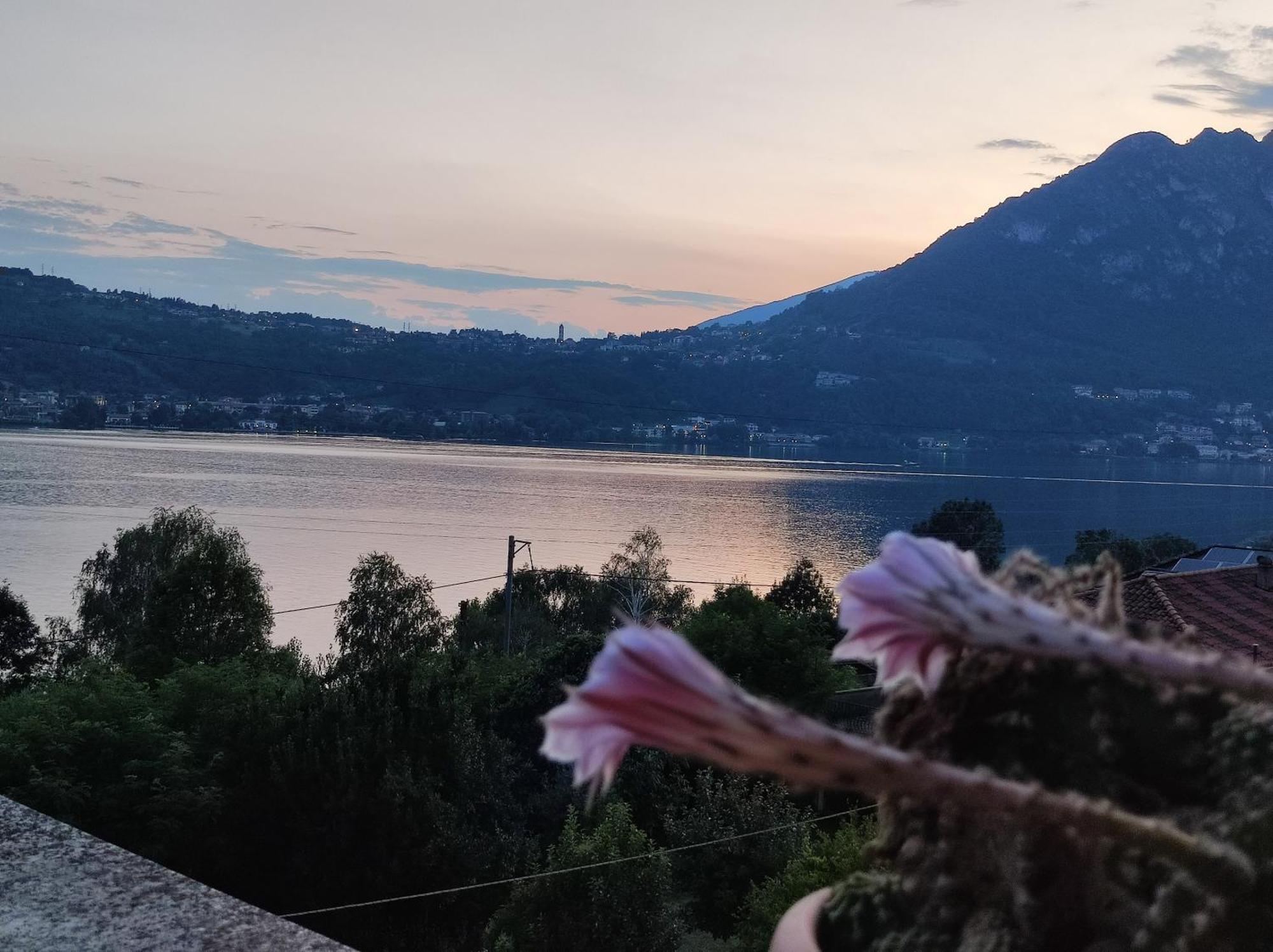 Terrazzo Sul Lago Lecco Eksteriør bilde